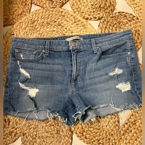 Joes Jeans Denim Shorts